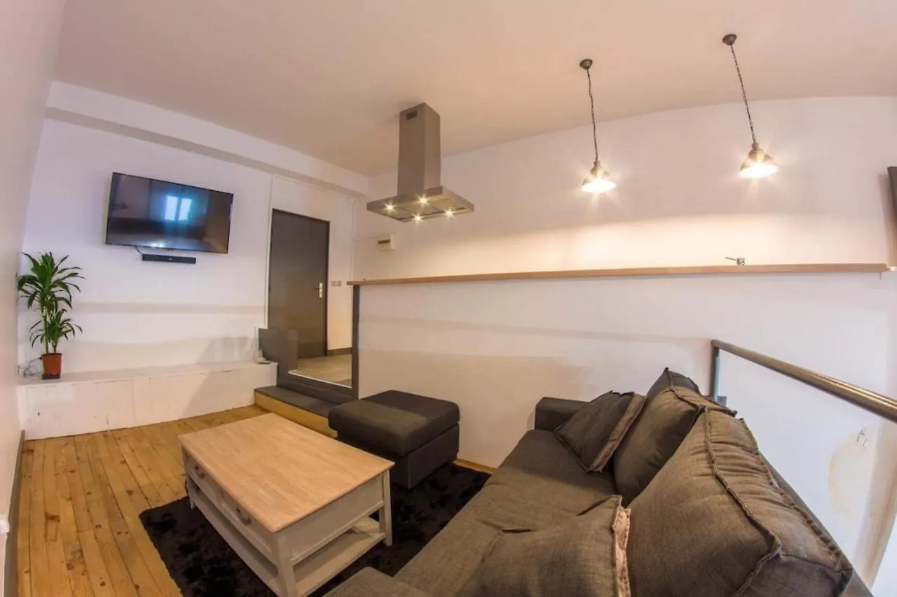 Joli Loft Atypique - Metro Valmy Διαμέρισμα Λυών