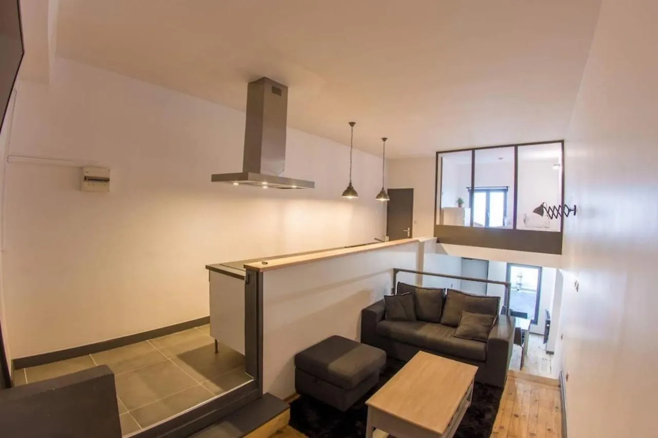 Joli Loft Atypique - Metro Valmy Apartment Lyon France