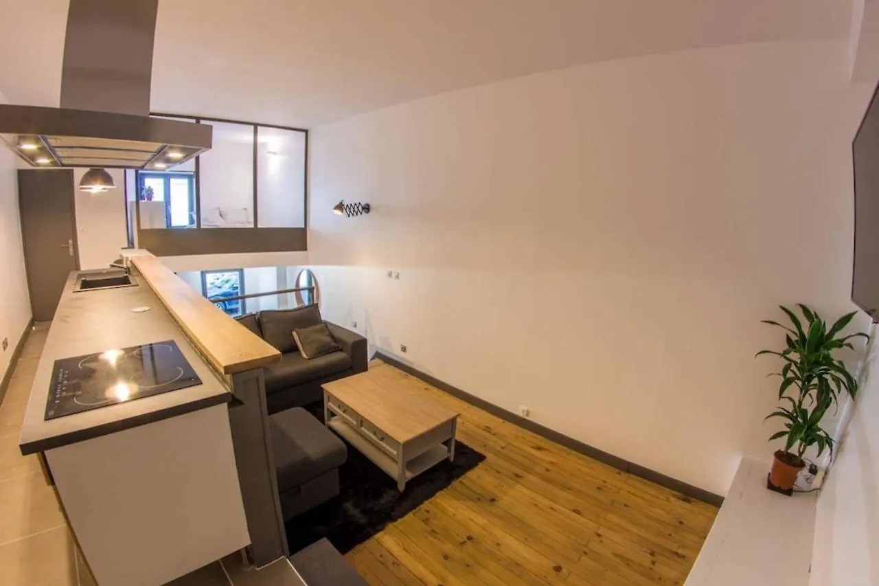Joli Loft Atypique - Metro Valmy Apartment Lyon